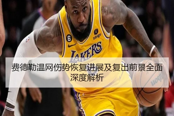 费德勒温网伤势恢复进展及复出前景全面深度解析（milan）